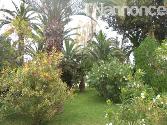 Maison location