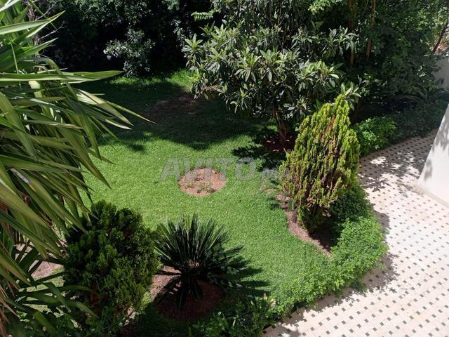 Propriété location à Hay Riad ⴰⵥⵢⴰ ⵏ ⵕⵢⴰⴹ حي الرياض, Berkane بركان