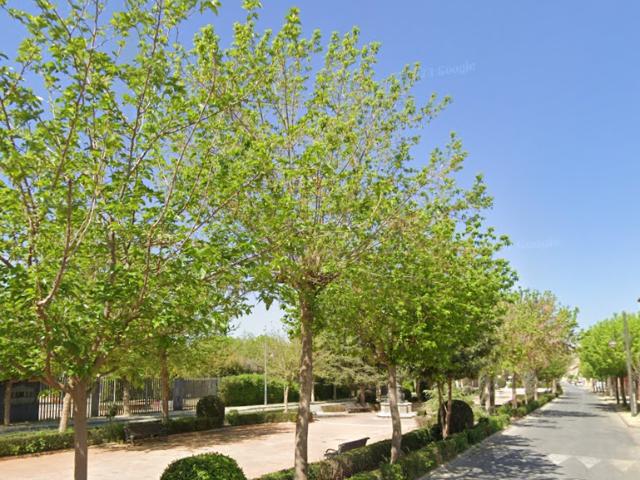 Chalet en venta en Comarca de la Vega de Granada, Andalucía