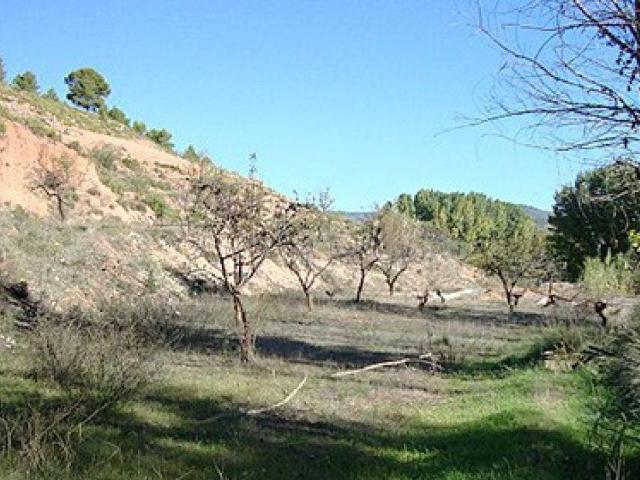 Chalet en venta en Los Calderones, Ayora