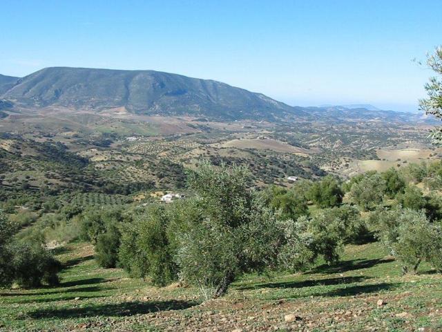 Chalet en venta en Sierra de Cádiz, Andalucía
