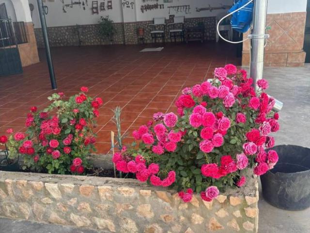Chalet en venta en Osuna, Sevilla