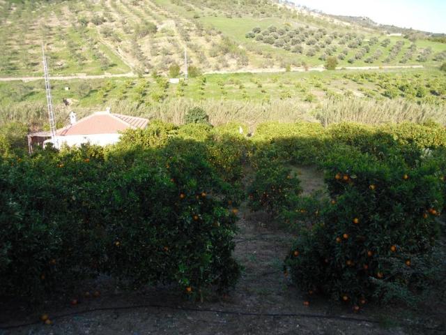 Chalet en venta en Sierra de las Nieves, Andalucía