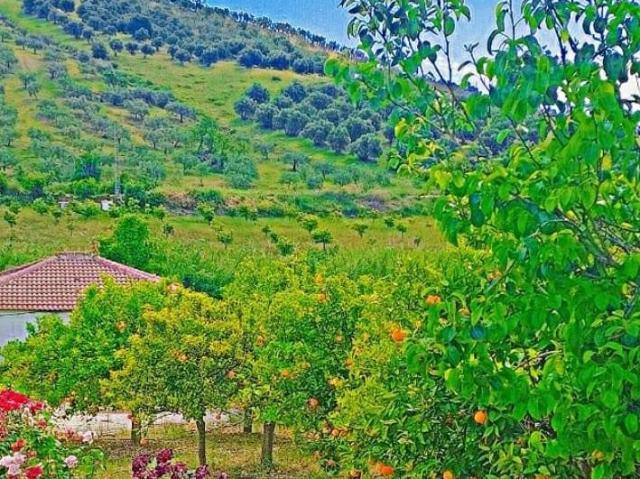 Chalet en venta en Sierra de las Nieves, Andalucía