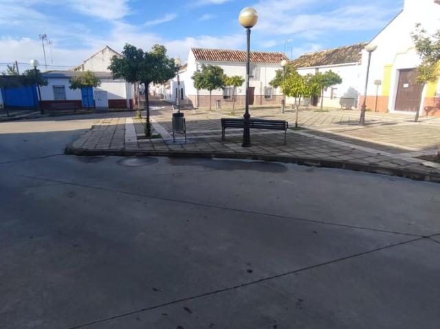 Chalet en venta en Chica-Carlota, La Carlota