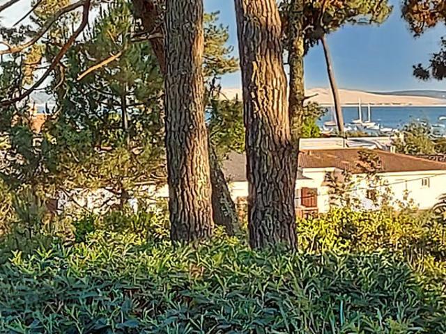 Maison vente à Arcachon, Lège-cap-ferret