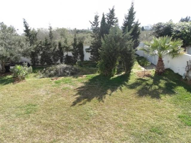 Appartement vente