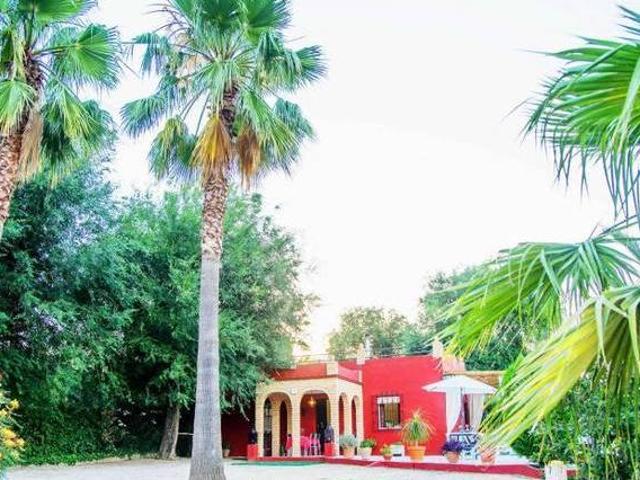 Casa en alquiler en La Puebla De Cazalla