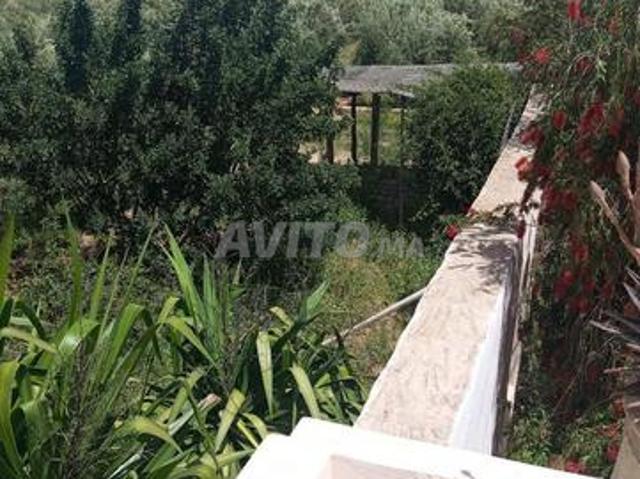 Propriété vente à Essaouira, L'Oriental