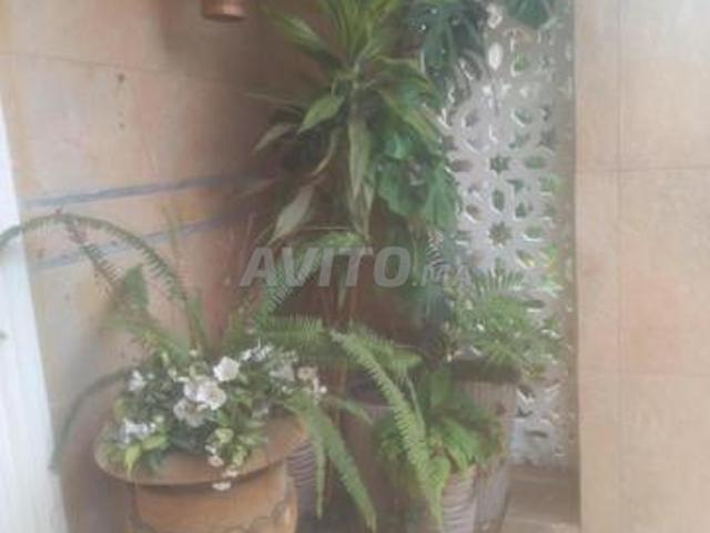 Appartement vente à Lyautey