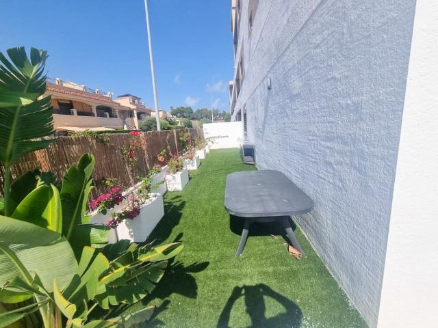Casa en alquiler en Mil Palmeras, el Baix Segura / La Vega Baja