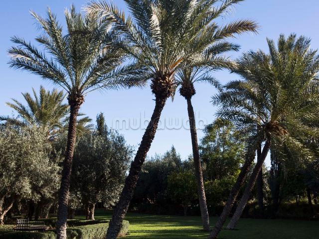 Villa location à Marrakech, L'Oriental