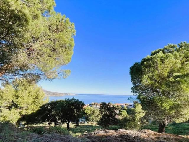 Maison vente à Céret, Banyuls-sur-mer