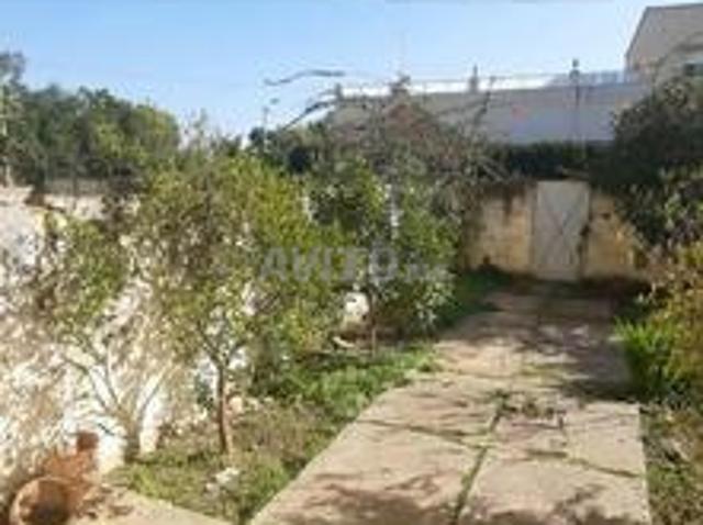Propriété vente à Souk El Arbaâ