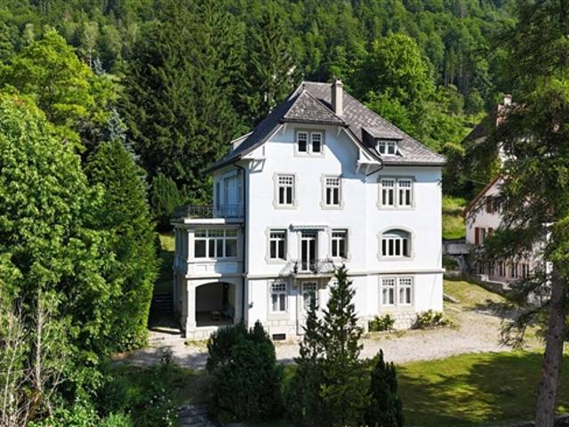 Einfamilienhaus kaufen in Sonvilier, Bern