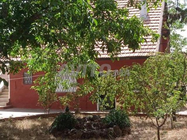 Propriété vente à Imouzzer Des Ida Ou Tanane, Oued ed Dahab-Lagouira