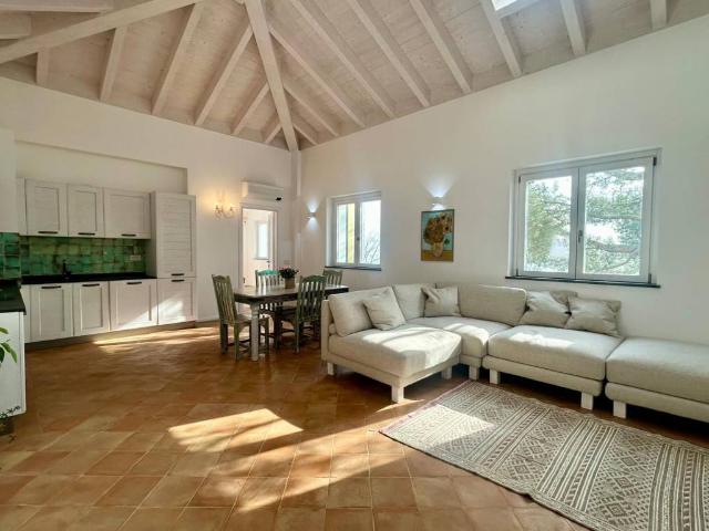 Villa Indipendente in affitto a Moglio, Alassio