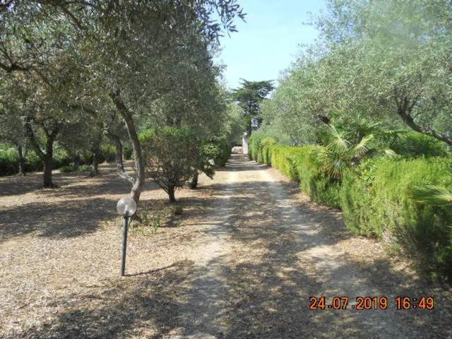 Villa Indipendente in affitto a Alghero, Sardigna/Sardegna