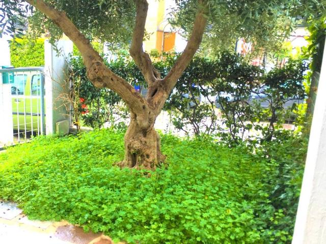 Villa Schiera in affitto a Municipio 5, Puglia