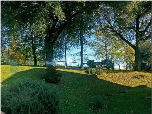 Villa Indipendente in affitto a Roma Capitale, Lazio
