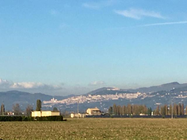 Villa Indipendente in affitto a Cannara, Umbria