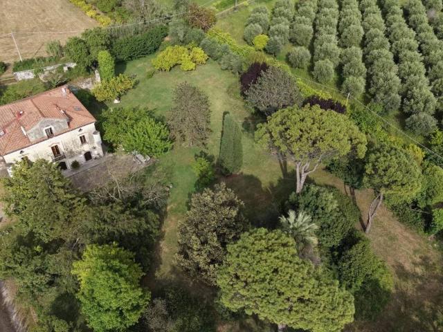 Villa Indipendente in affitto a Capaccio, Campania