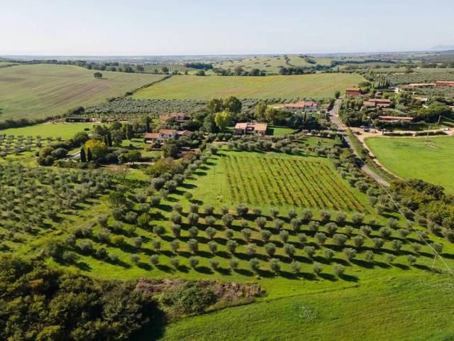Villa Indipendente in affitto a Capalbio, Toscana