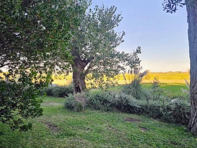 Villa Indipendente in affitto a Capalbio, Toscana