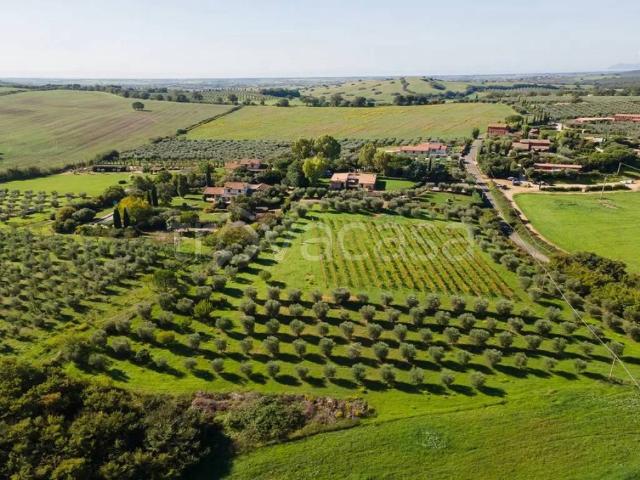 Villa Indipendente in affitto a Capalbio, Toscana