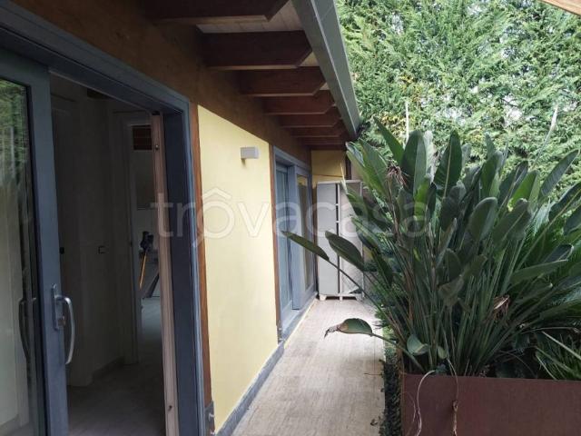 Villa Indipendente in affitto a Marina di Carrara, Carrara