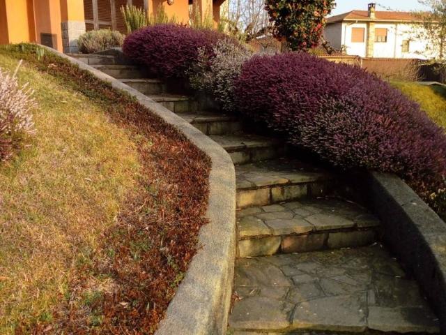 Villa Indipendente in affitto a Casale Litta, Lombardia