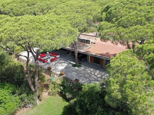 Villa Indipendente in affitto a Castiglione Della Pescaia, Toscana