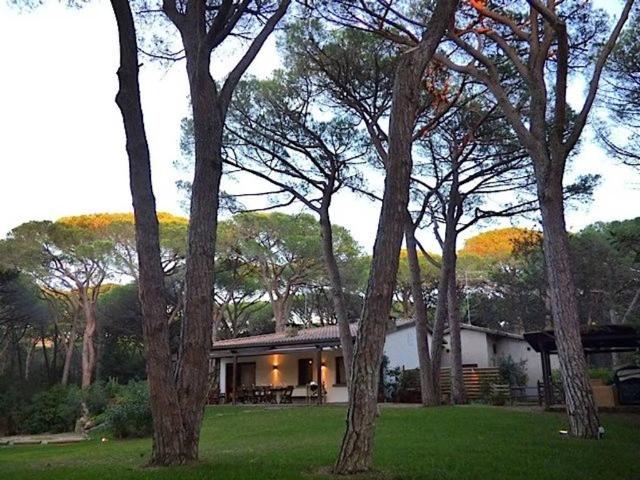 Villa Indipendente in affitto a Castiglione Della Pescaia, Toscana