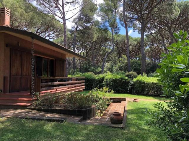 Villa Indipendente in affitto a Castiglione Della Pescaia, Toscana