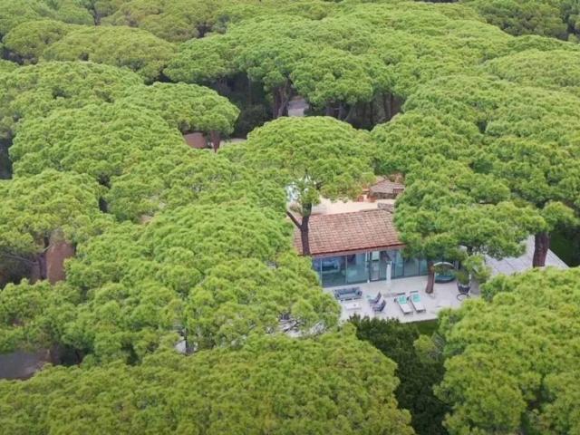 Villa Indipendente in affitto a Castiglione Della Pescaia, Toscana