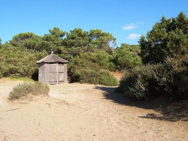 Villa Indipendente in affitto a Castiglione Della Pescaia, Toscana