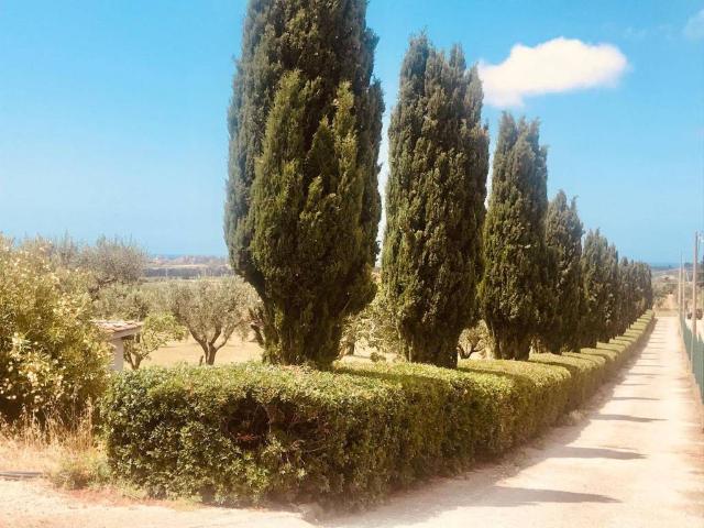 Villa Indipendente in affitto a Roma Capitale, Lazio