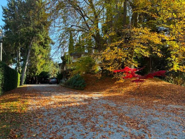 Villa Indipendente in affitto a Lazzago, Como