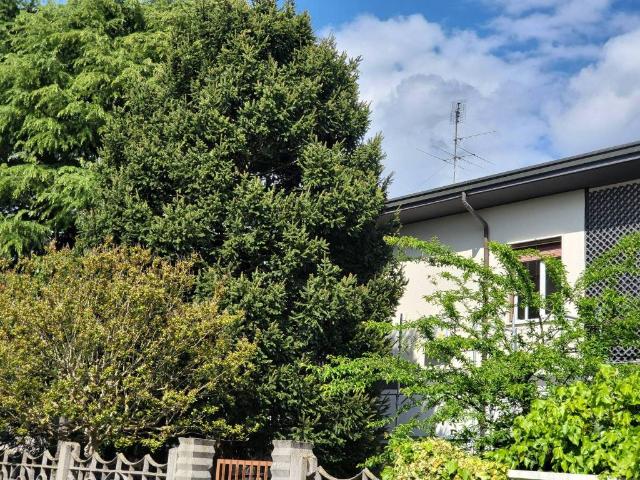 Villa Indipendente in affitto a Olcella, Dairago