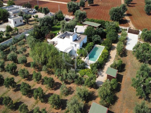 Villa Indipendente in affitto a Savelletri, Puglia