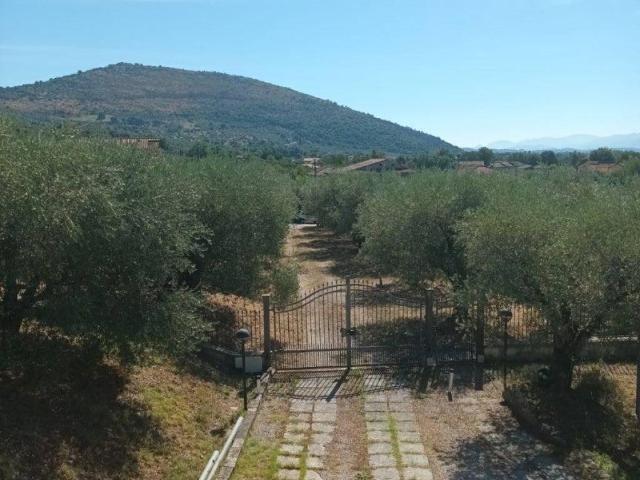Villa Indipendente in affitto a Ferentino, Lazio