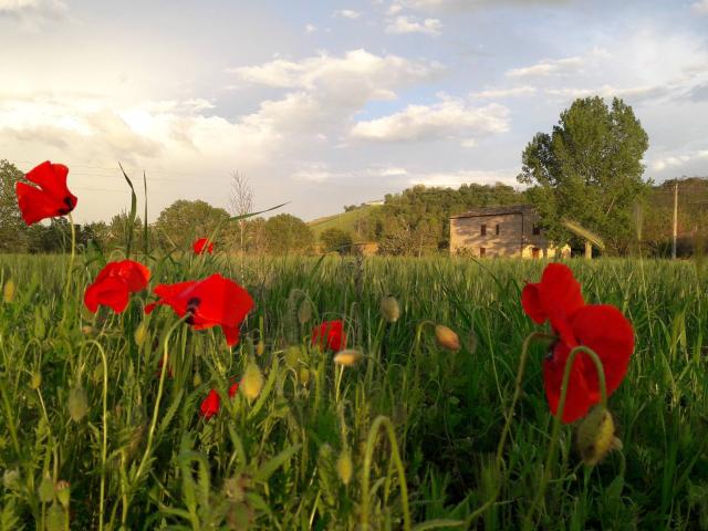Villa Indipendente in affitto a Ponte Ete, Marche