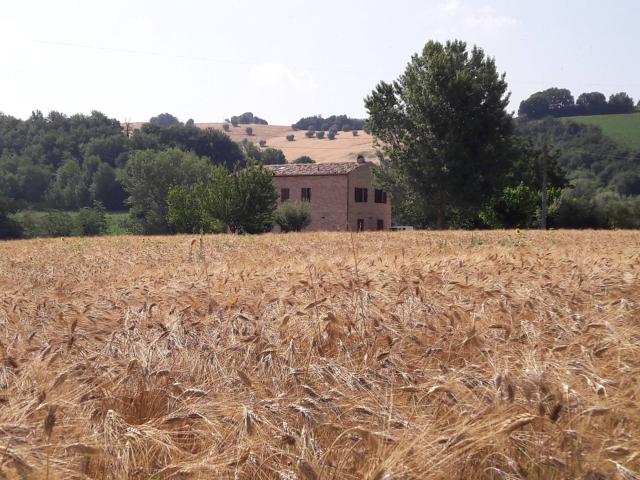 Villa Indipendente in affitto a Ponte Ete, Marche