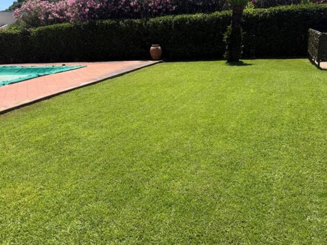 Villa Indipendente in affitto a Fregene, Roma Capitale