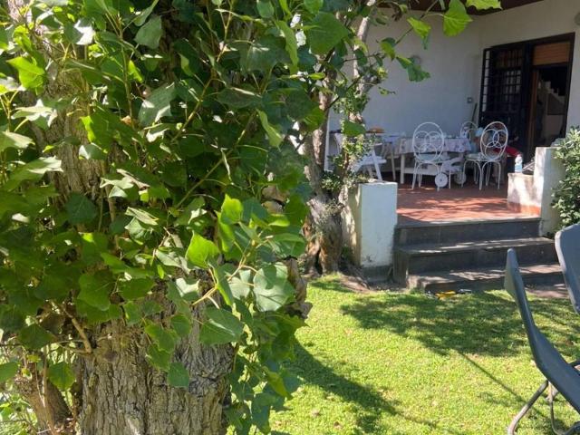 Villa Indipendente in affitto a Fregene, Roma Capitale