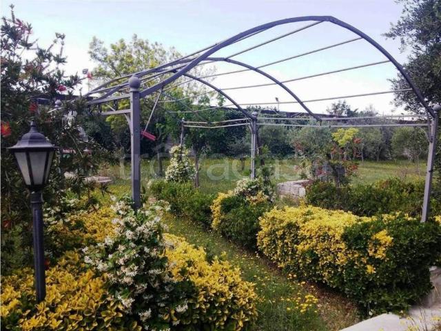 Villa Indipendente in affitto a Puglia, Foggia
