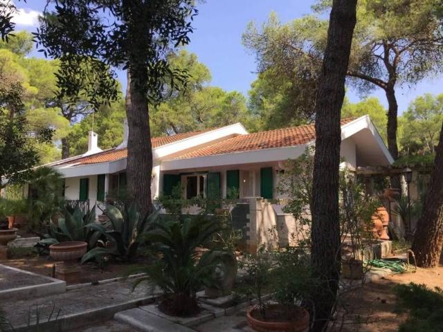 Villa Indipendente in affitto a Puglia, Taranto