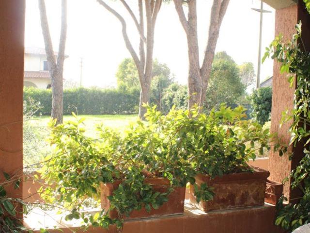 Villa Indipendente in affitto a Casalecci, Monte Argentario