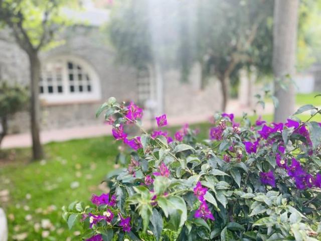 Villa Indipendente in vendita a Ischia, Campania