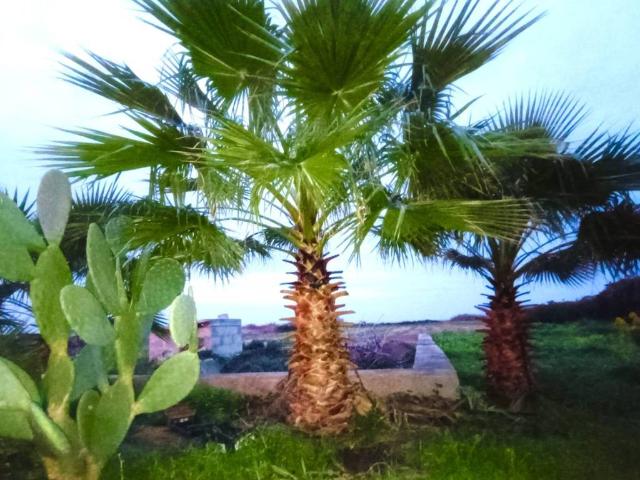 Villa Indipendente in affitto a Puglia, Lecce